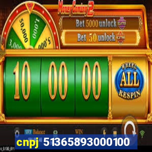 cnpj 51365893000100